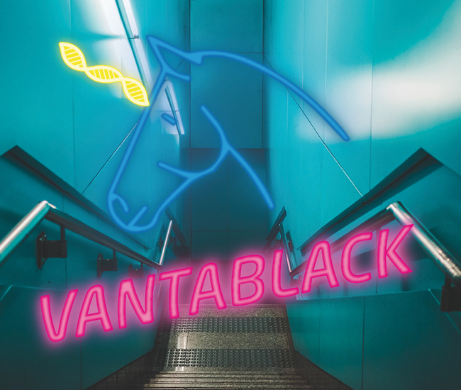 Vantablack