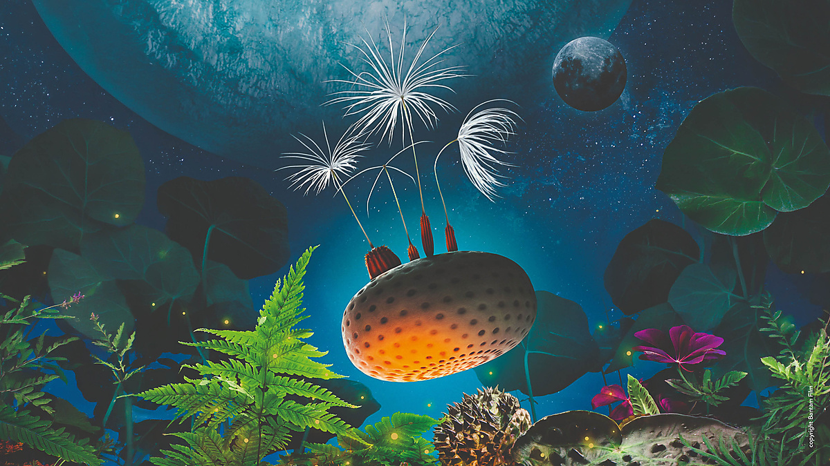 Dandelion’s Odyssey
