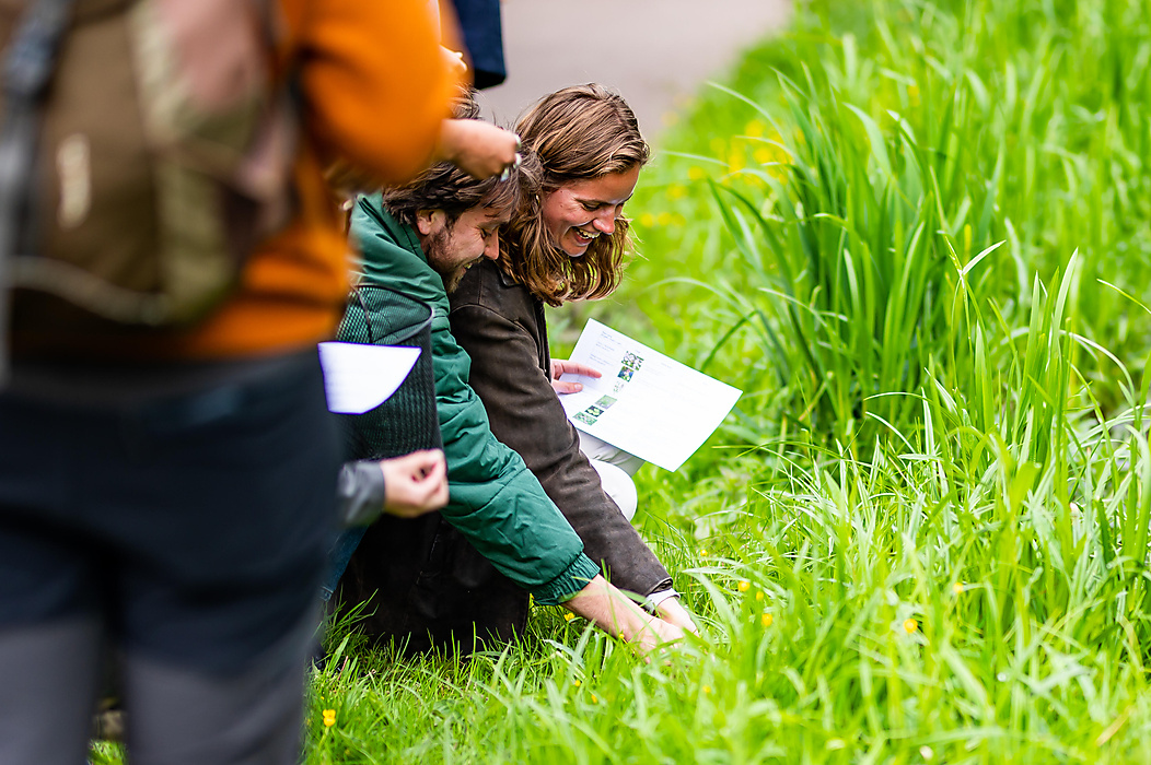 Foto impressie | workshop wild foraging