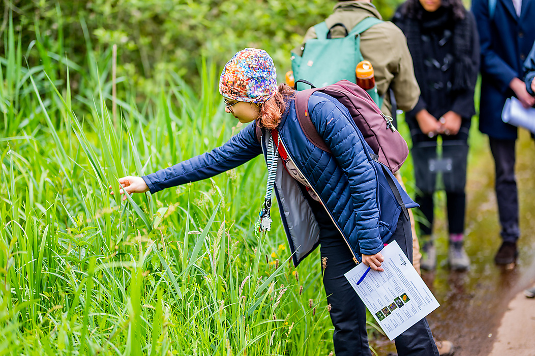 Foto impressie | workshop wild foraging