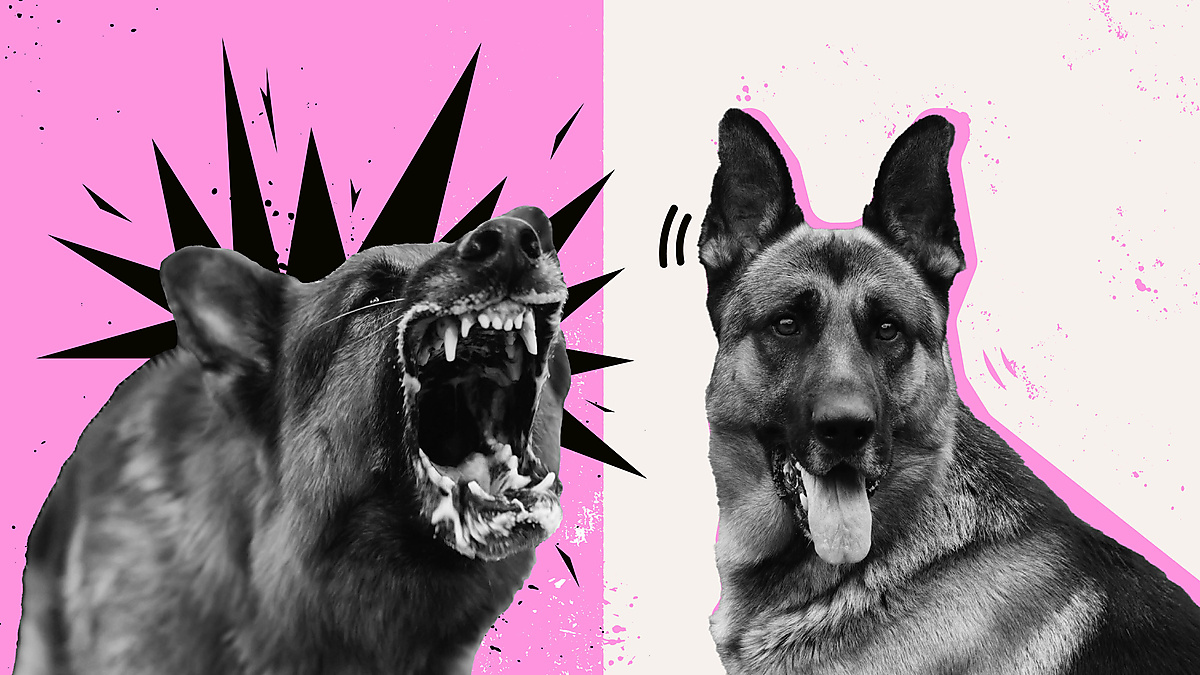 How to deal with polarization? | Postponed