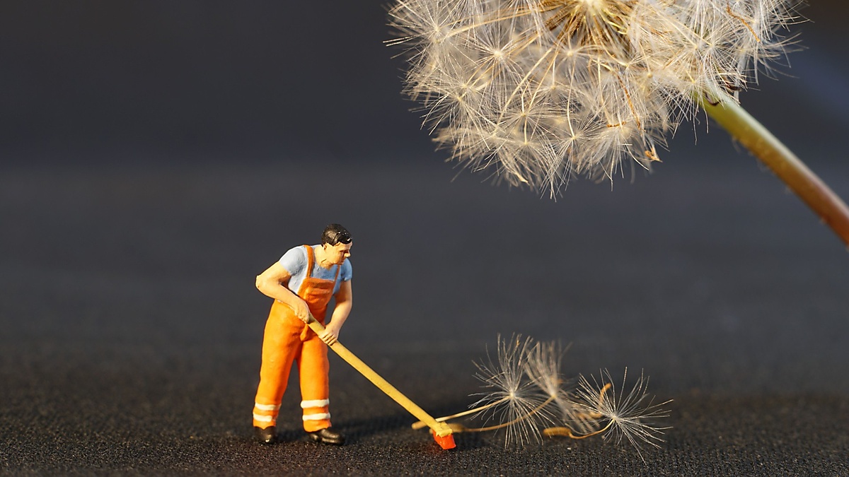 Miniature Photography: Your Story in Images