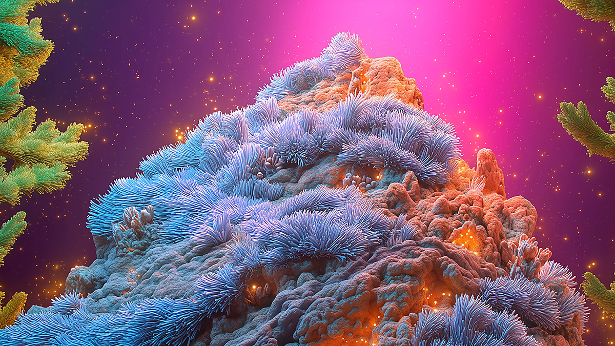 Once Upon a Time… the Earth