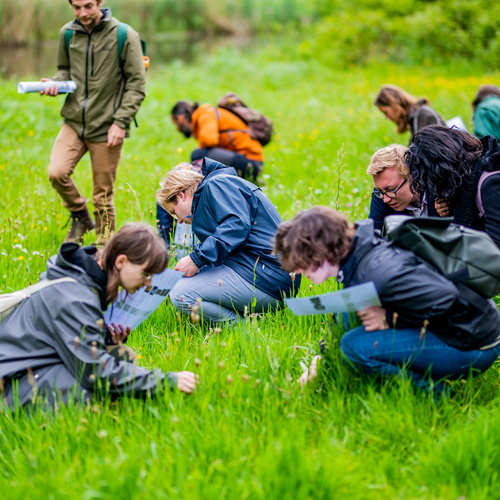 Photo impression | workshop wild foraging