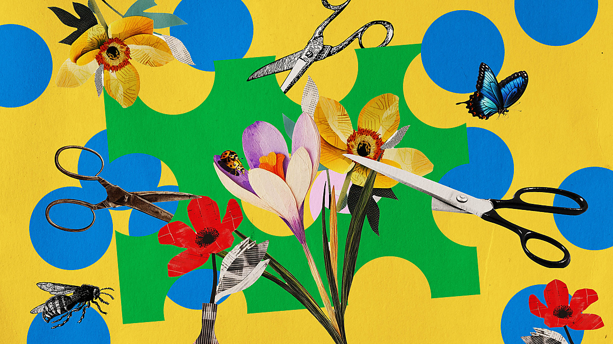 Social Heroes: Creative Afternoon with People Living with Physical Disabilities