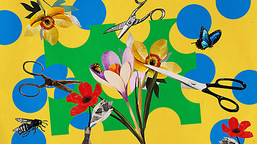 Social Heroes: Creative Afternoon with People Living with Physical Disabilities - 1