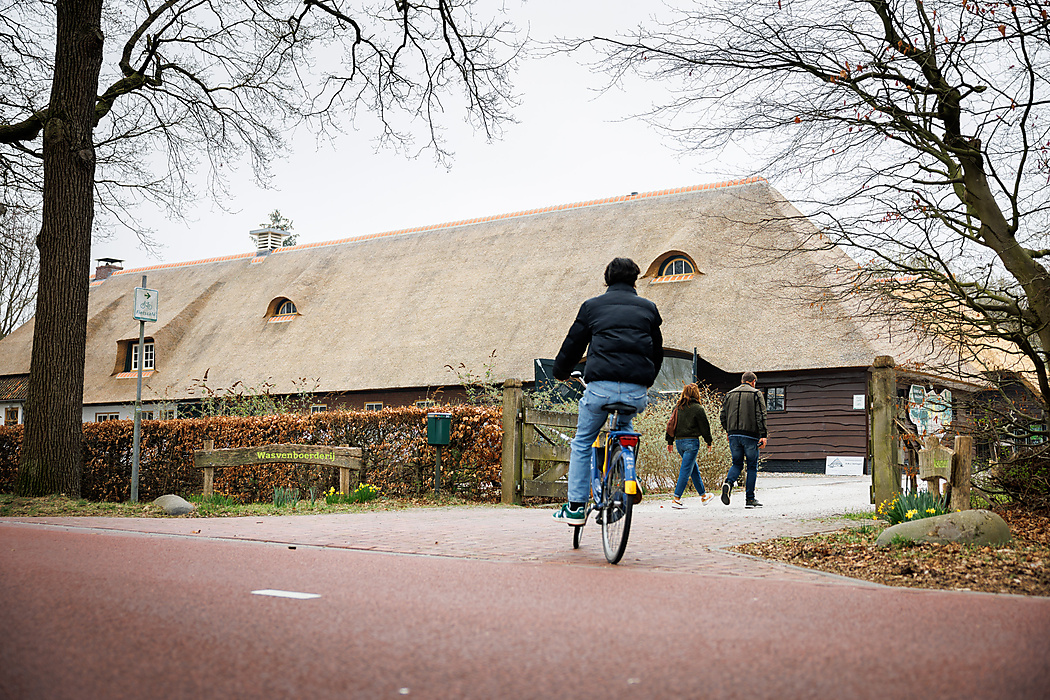Social Heroes: Gardening at Wasven Care Farm