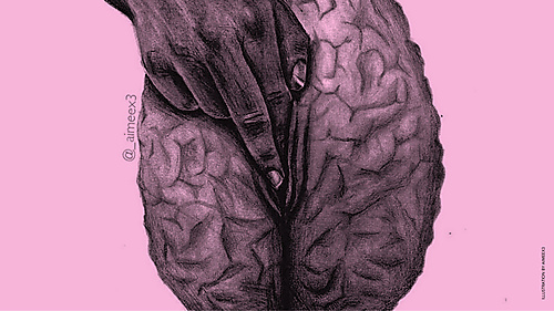 The sexual brain - 1